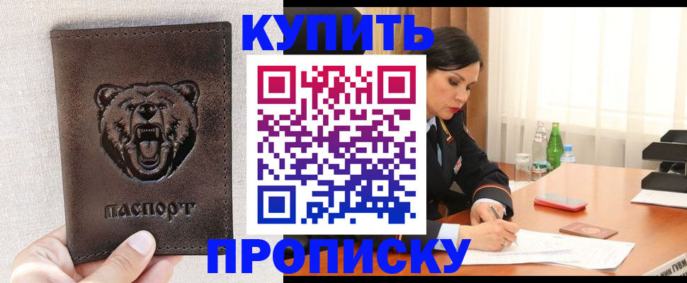 где прописаться в Сураже